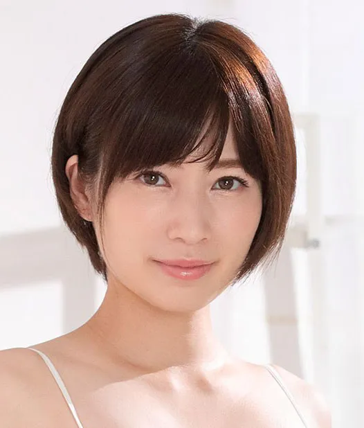 热播电视剧全集更新规律分析
